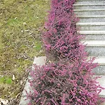 Lejlighed Sentiero Valtellina