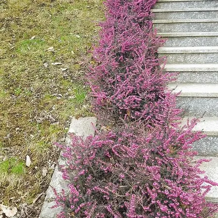 Apartment Sentiero Valtellina